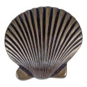 Atlas 143 Nautical/Ocean, Clamshell Cabinet Knob, 2"