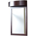 American Imaginations AI-338 24-in. W x 36-in. H Transitional Birch Wood-Veneer Wood Mirror In Coffee