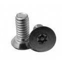 HES 157 Tamper-Resistant Pin-in-Torx Screws (2) 12-24 UNC x 3/4" FH