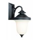Design House 517581 Drake Oil Rubbed Bronze Outdoor Lighting with Frosted Glass