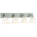 Design House 515775 Ironwood ES 4-Light Vanity Light