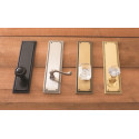 Brass Accents D06-K240J-AND-605 Academy Collection Door Set