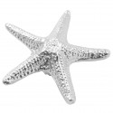 Laurey 56 Oceana Starfish Knob