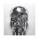 skull - Aged Bronze - glass - back to back