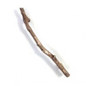  Twig - Aged Brass - glass (400mm x 50mm) Small Door Handle