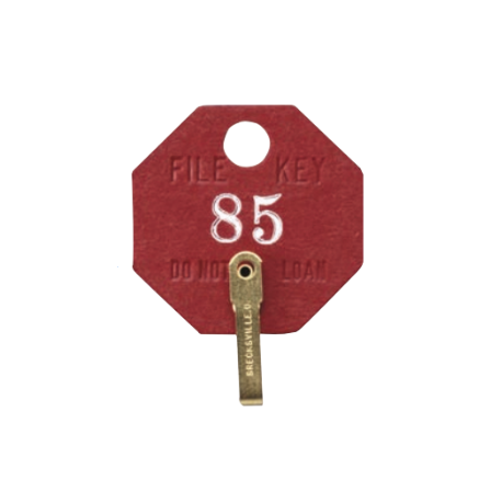 Lund 508-A Fiber Security Key Tags for File Keys, Lot 100