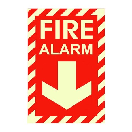 American Permalight 600064 Fire Alarm Photoluminescent Emergency & Fire Safety Sign