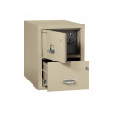  PL SF, Safe-in-a-File, Legal 2 Drawer Cabinet, 501 Ibs. , 1 Hour Fire Rated
