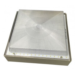 Carson Technology CT D02032CP 32w Canopy Light, Non-Dimmable, 1x1 Feet