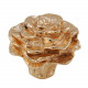 Vicenza K1221 K1221-OB Carlotta Floral Knob