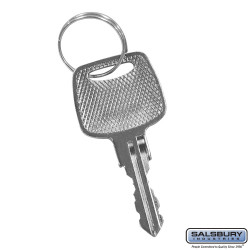 Salsbury 3683 Master Control Key - For 3682 Resettable Combination Lock Of 4B+ Horizontal Mailbox Door