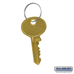 Salsbury 19991 Master Control Key - for Master Keyed Lock of Cell Phone Storage Locker