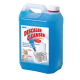 Saniflo 052 Descaler Concentrated Solution For Optimum Cleaning Power