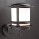 PLC Lighting 1894 1-Light 60W Dimmable Outdoor Light Opal Acrylic Lens Tusk Collection