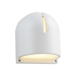 PLC Lighting 2024 1-Light 60W Dimmable Exterior Light Frost Glass Phoenix Collection