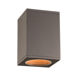 PLC Lighting 2089 1-Light 12W Dimmable LED Exterior Light, Clear Glass Diffuser Dominick Collection