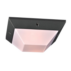 PLC Lighting 2717 1-Light 60W Dimmable Exterior Light Opal Acrylic Lens Harrison Collection