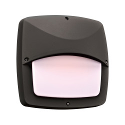 PLC Lighting 2724 2-Light 60W Dimmable Exterior Light Opal Acrylic Lens Clarendon-II Collection