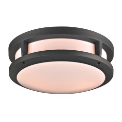 PLC Lighting 2729 2-Light 60W Dimmable Exterior Light Opal Acrylic Lens Erich Collection