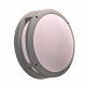 PLC Lighting 2729 2-Light 60W Dimmable Exterior Light Opal Acrylic Lens Erich Collection