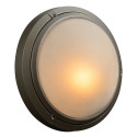  8037-SL 1 Light Outdoor Fixture Ricci-I Collection