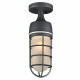 PLC Lighting 8052 1-Light Cage Collection Outdoor Fixture
