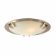PLC Lighting 1489 60W Ceiling Light Paralline Collection, Finish-Satin Nickel