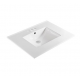 Bellaterra 303122 31 in. Single Sink Ceramic Top