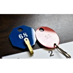 Lund 508-AC Plastic Security Key Tags for Master File Keys,Shape-Octagonal