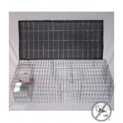 Bird B Gone Pigeon Trap with Shade, Food & Water Containers