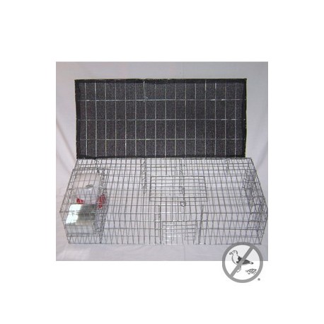Bird B Gone BMP-SW-SP-SFW Pigeon Trap with Shade, Food & Water Containers