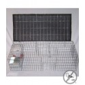 Bird B Gone BMP-SW-SP-SFW Pigeon Trap with Shade, Food & Water Containers