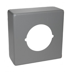Lockey PSGBLH Trim Box for use with PBLHPS/PBLHED/PBLHSR