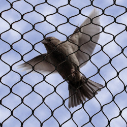 Bird B Gone 034BKK No-Knot Net: 3/4" - Black