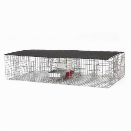 Bird B Gone BMP-SW-LP-SFW Large Pigeon Trap With Shade, 1-Gallon Water Bottle