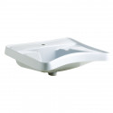 Ponte Giulio B40CMS01WB Ergonomic Sink With Elbow Rests And Triangle Shaped Basin
