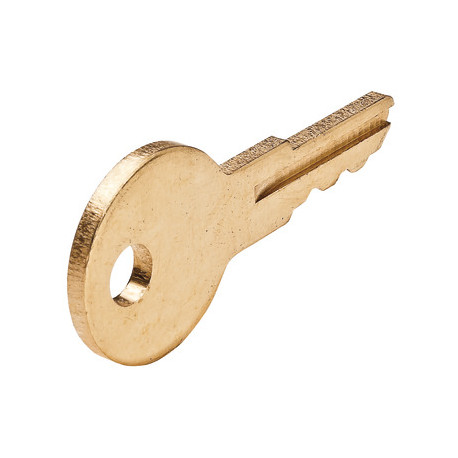Hafele 210.02.004 Removal Brass Key TA Series