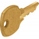 Hafele 210.02.219 Master Key Brass For Disk Cylinder E41A