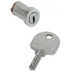 Hafele 210.45. SYMO Lock Core Pin Tumbler Zinc Nickel Plate