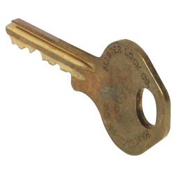 Hafele 231.13.091 Mastercombi Control Key Brass