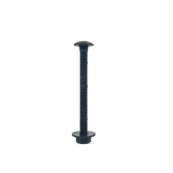 Acorn AQP Black Carriage Bolt with Nut & Washer