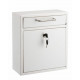 Adiroffice 631 Drop Box Wall Mounted Mail Box With Key And Combination Lock(Medium)