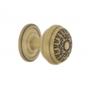 Nostalgic Warehouse CKB_EAD Egg And Dart Brass 1 3/8" Cabinet Knob w/ Rose