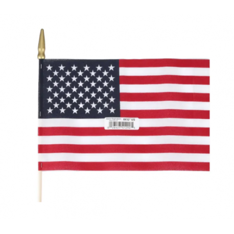 Annin Flagmakers 41294 U.S. Handheld Flag, 8 x 12-in.