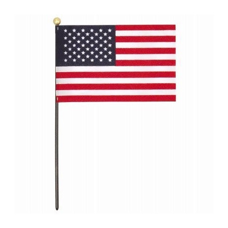 Annin Flagmakers 41192 U.S. Flag, 4 x 6-in.