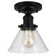 Design House 589069 Augustin Ceiling Light w/ Clear Seedy Glass