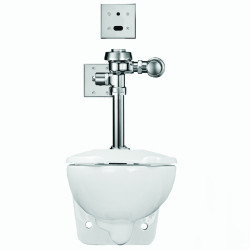 Sloan S24531310 ST-2459 Water Closet and 111 ESS Flushometer