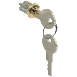 Hafele 210.14.102 Snap-In Lock Core, Keyed Different, Antique Brass