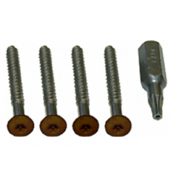 Alpha Communication 10440 4 Panel Tamper Screw with 1 Screwdriver Tip