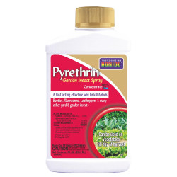 Bonide Products Inc 857 Pyrethrin Garden Insect Spray, Concentrate, 8 oz.